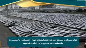 مزاد سيارات وبضائع جمركية يقيم انطلاقه في 14 أغسطس بالإسكندرية والسلوم.. تعرف على فرص الشراء الذهبية
